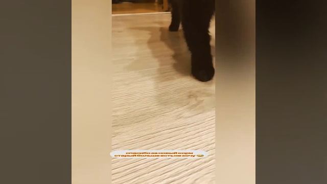 Purina ProPlan LiveClear Корм сухой для кошек от 7 лет