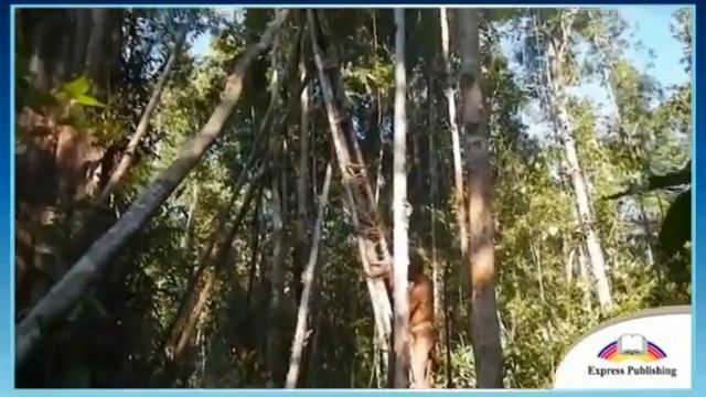 Excel 9 Module 3 c What a Strange Place to live p 34 смотреть онлайн