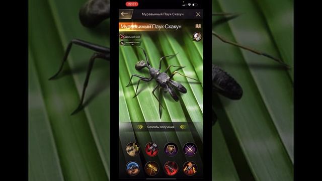 The Ants. Муравьиный Паук-Скакун. сборка на охрану смотреть онлайн