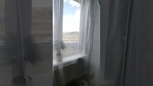 Однокомнатная квартира с ремонтом от застройщика смотреть онлайн