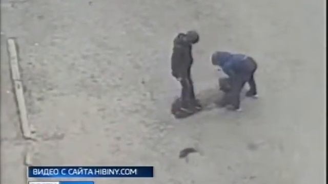 Дети из Мончегорска устроили на одной из дорог импровизированный ямочный ремонт смотреть онлайн