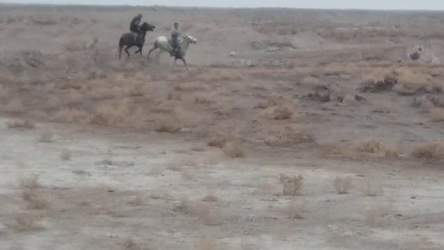 Shimbay.bolis awili shabandozlari(1) смотреть онлайн