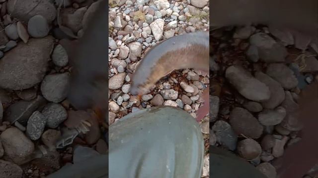 на Лене. смотреть онлайн
