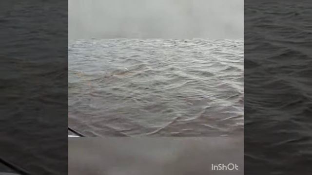 Net fishing/ #Рыбалка сетями. Проверка! смотреть онлайн