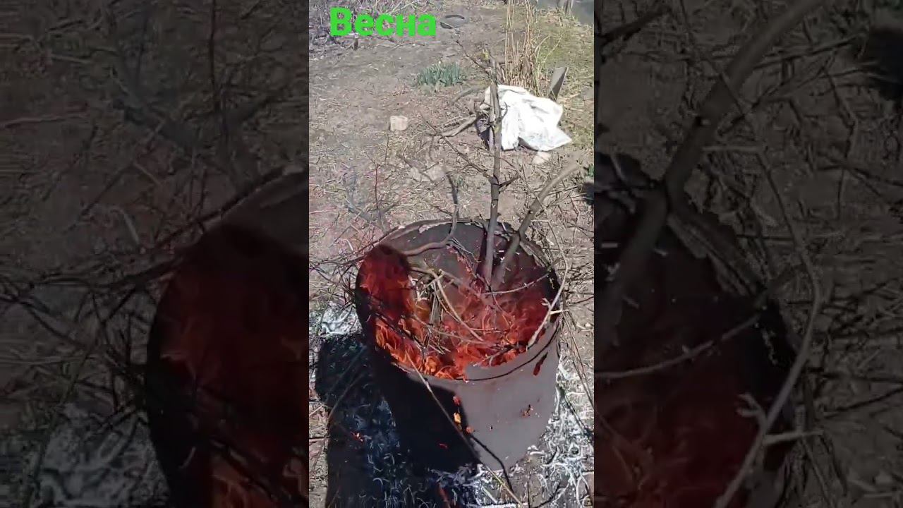 ВЕСНА. ЖЕРТВОПРИНОШЕНИЕ! Поэзия труда. смотреть онлайн