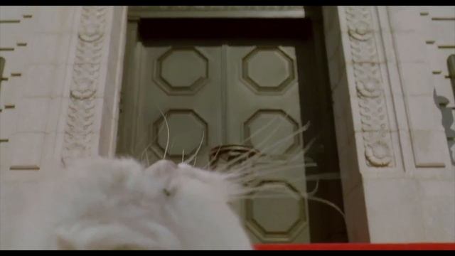 Stuart Little 2 But It's Only Snowbell and Monty смотреть онлайн