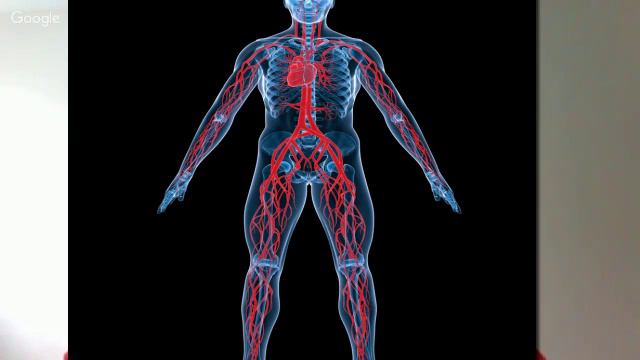 Вены Способ исцеления смотреть онлайн