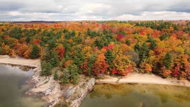 Pасслабляющая осенняя музыка?Yспокаивающая музыка для нервов?лечебная музыка для сердца и сосудов # смотреть онлайн