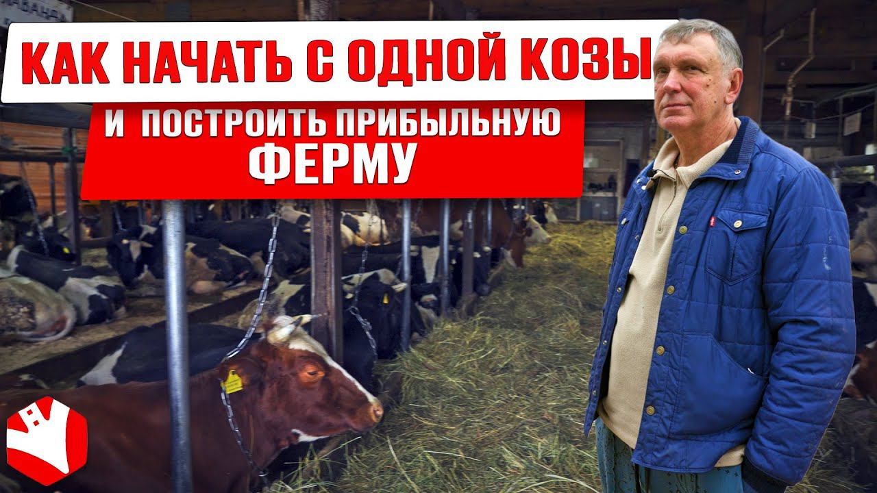 Как развивать молочную ферму | Бизнес своими руками | Обзор хозяйства | Переработка молока