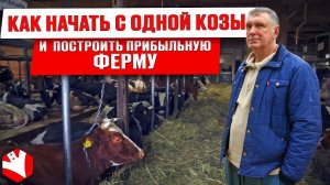 Как развивать молочную ферму | Бизнес своими руками | Обзор хозяйства | Переработка молока