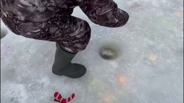 Красногорск спорт зона поимки смотреть онлайн