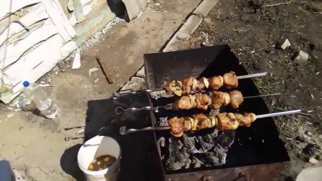 Шашлыки на даче, беседка, прививки