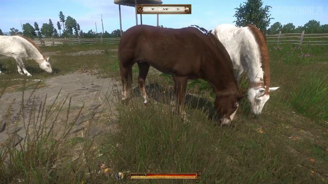 Płotka Geralta z Wiedźmina w grze Kingdom Come: Deliverance - easter egg смотреть онлайн