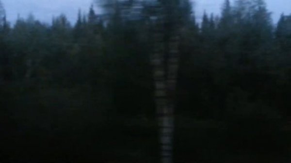 Станция и река Кожим.