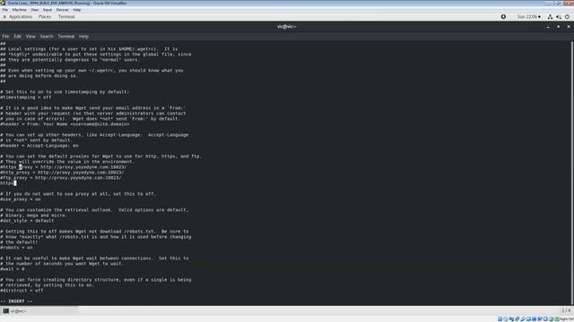 Going over setting up proxy for wget смотреть онлайн