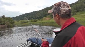 Ловля чехони на спиннинг