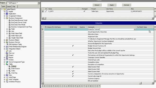 How to Extend Column of Siebel Table смотреть онлайн