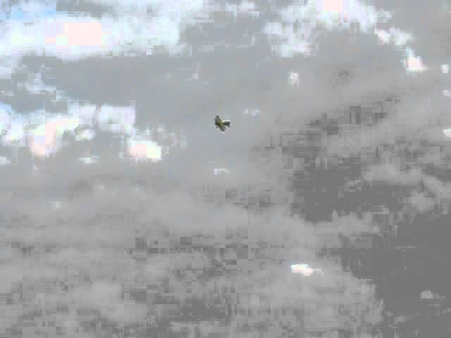 MVI 0760 смотреть онлайн