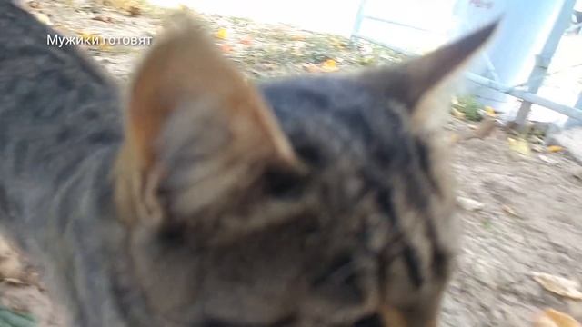 НОН БОСТИ. Казан кабаб в казане на костре. НОВИНКА!