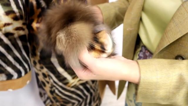 Обзор кашемирового пальто с меховым воротником от IrinaVard смотреть онлайн