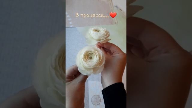 Мои ранункулюсы ? Создавай цветы вместе со мной на моем канале⚘ смотреть онлайн