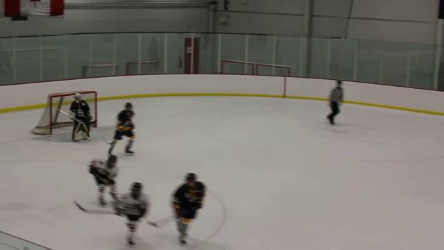 Bisons Webster 11 10 12 Third Period смотреть онлайн