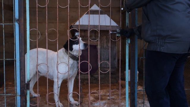 Надо просто любить. смотреть онлайн