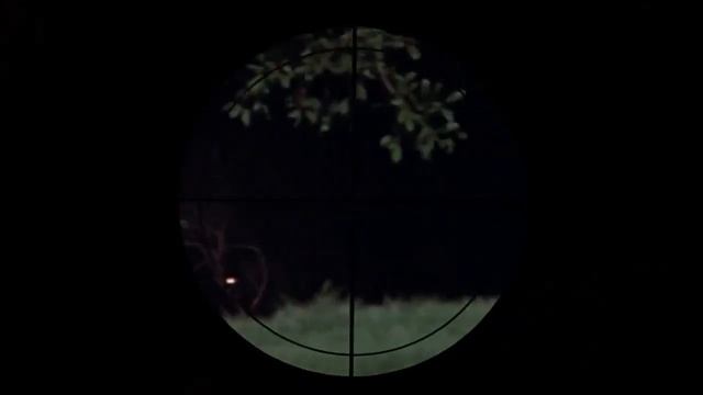 Carl vs the Gopher Part 2 смотреть онлайн