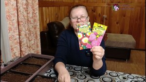 АСТРА. Посев и уход до пикировки.