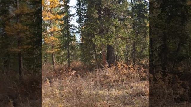 осень, лучшая пора на Байкале смотреть онлайн