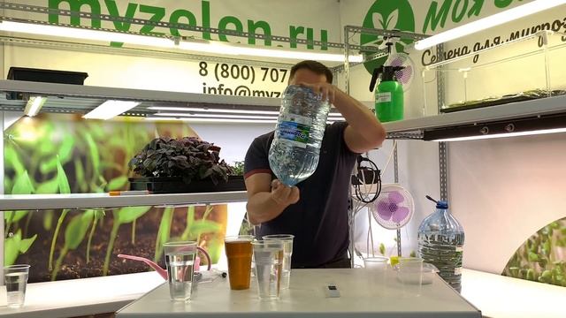 Как сделать питательный раствор для микрозелени своими руками? смотреть онлайн