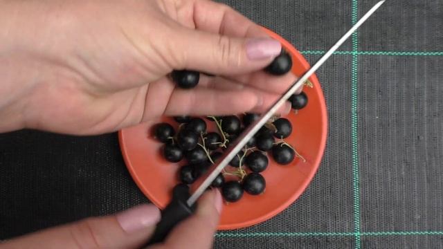 Сладкая жемчужина, слаще не бывает смотреть онлайн