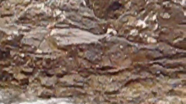 Medulin bay Croatia - 2010 смотреть онлайн