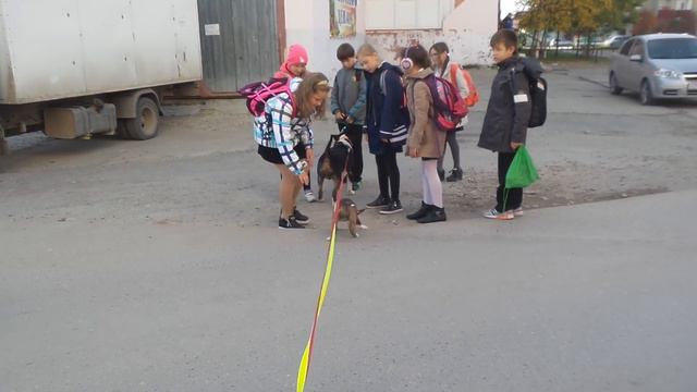 Алегре Перро Чародей (Лекс) смотреть онлайн