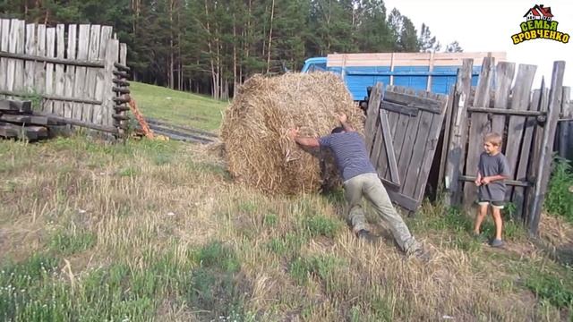 Огород 2017г. - удобряем, борьба с муравьями, подвязываем, сажаем. (07.17г.) Семья Бровченко. смотреть онлайн