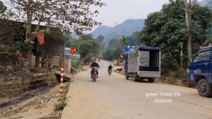 ( Full video compilation ) Robert sells pigs. Robert | Green forest life