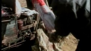 Земляне (документальный фильм, 2005)