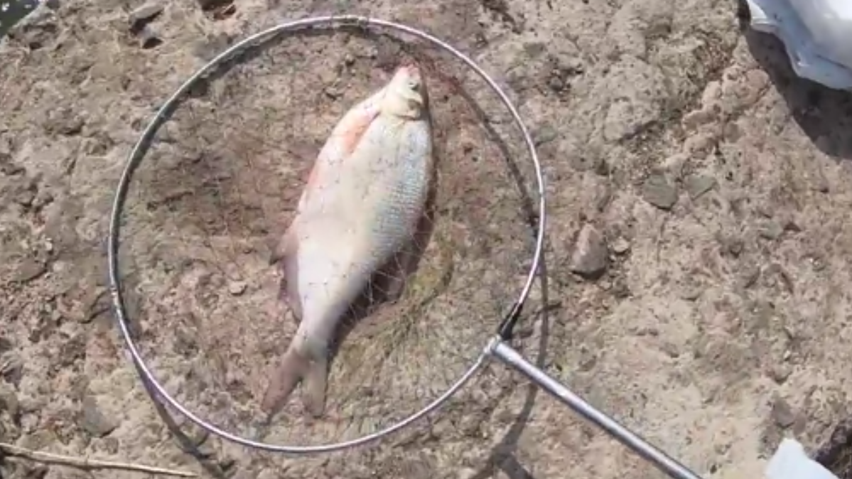 ПЕРВАЯ РЫБАЛКА НА ДОНУ. ОТКРЫТИЕ ВЕСЕННЕГО СЕЗОНА. ЛОВИМ ВЕСЕННЕГО ЛЕЩА ФИДЕРОМ. смотреть онлайн