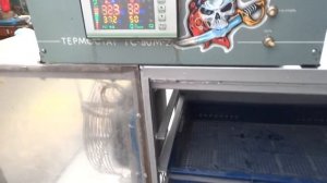 Выводной инкубатор своими руками