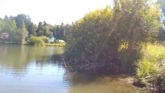 Купаемся? Дача. смотреть онлайн