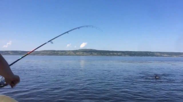 Рыбалка в БухладешЪ смотреть онлайн