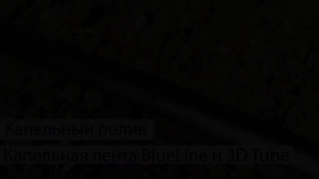 Капельный Полив Заказать смотреть онлайн