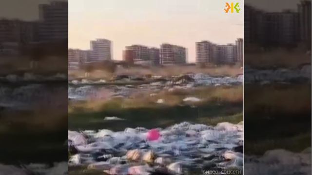 Свалка в Краснодаре смотреть онлайн