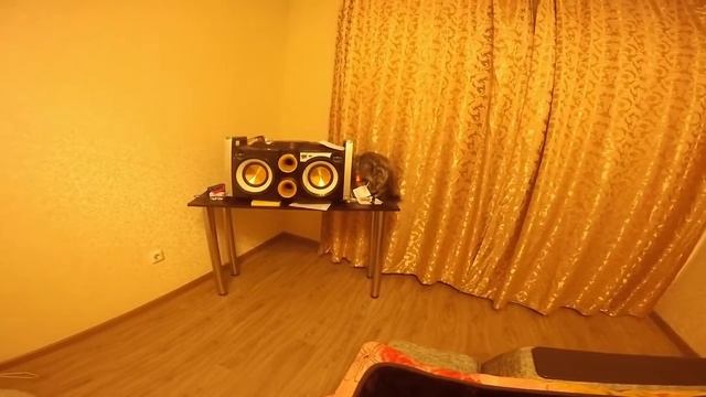 Мейн Кун Шэри прыгает на музыкальный центр ))) смотреть онлайн