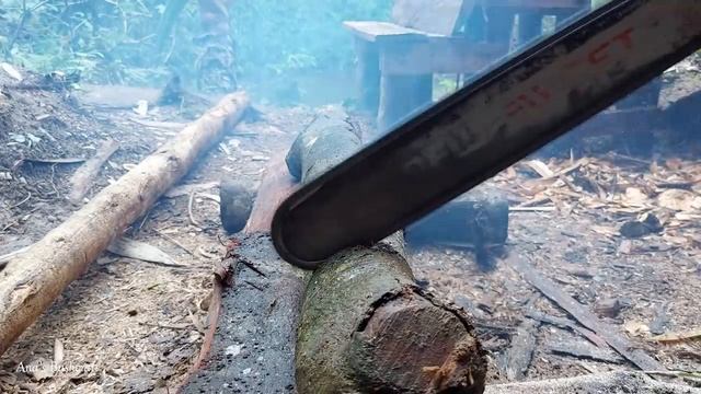 Living off the grid Ep.17 | simple life in the wilderness with my dog, off grid, free Energy смотреть онлайн