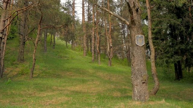 По местам силы с ГАЗ: Гольшанский замок смотреть онлайн