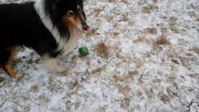 Алан, 13 лет 8 месяцев, январь 20 смотреть онлайн