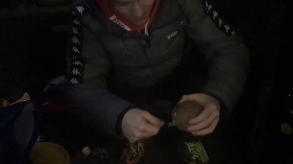 ОБЗОР НА КОКОС. ИНТЕРЕСНЫЕ ФАКТЫ О КОКОСЕ