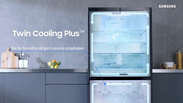 SAMSUNG Réfrigérateur américain RFG23UERS - BUT смотреть онлайн