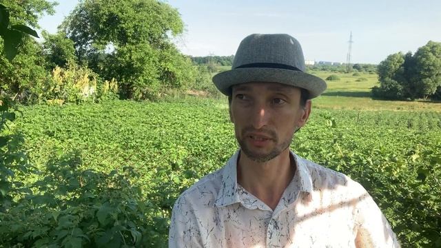 Отзыв Антона о прошедшей сессии по целительству. смотреть онлайн